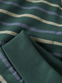 NAME IT Sweat Bukser Vimmer Bistro Green Stripes